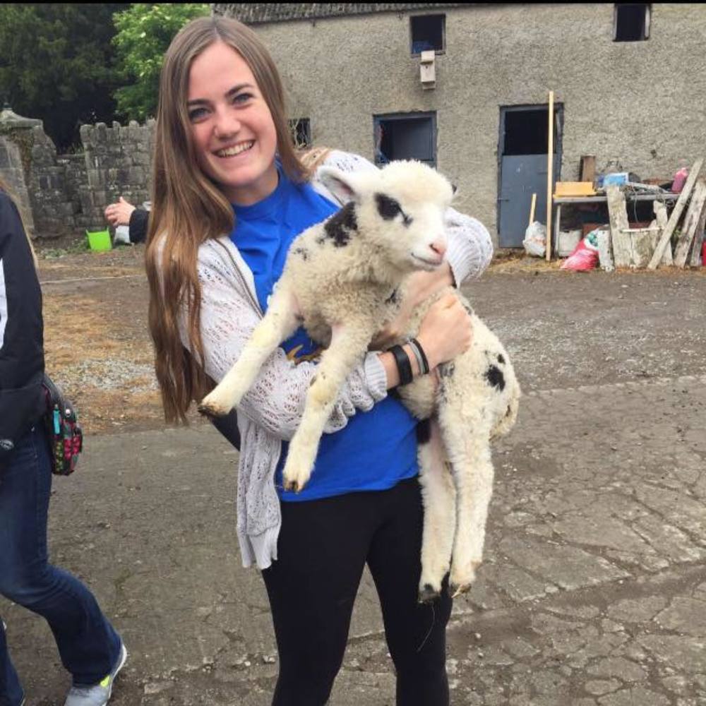 Meet your Posher, Molly